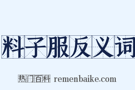 料子服反义词是什么意思的图片